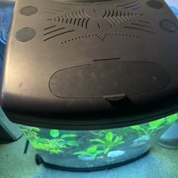 30 Gallon Fish tank