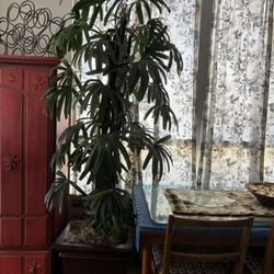 8 Ft Silk Plant In Planter Singer Island