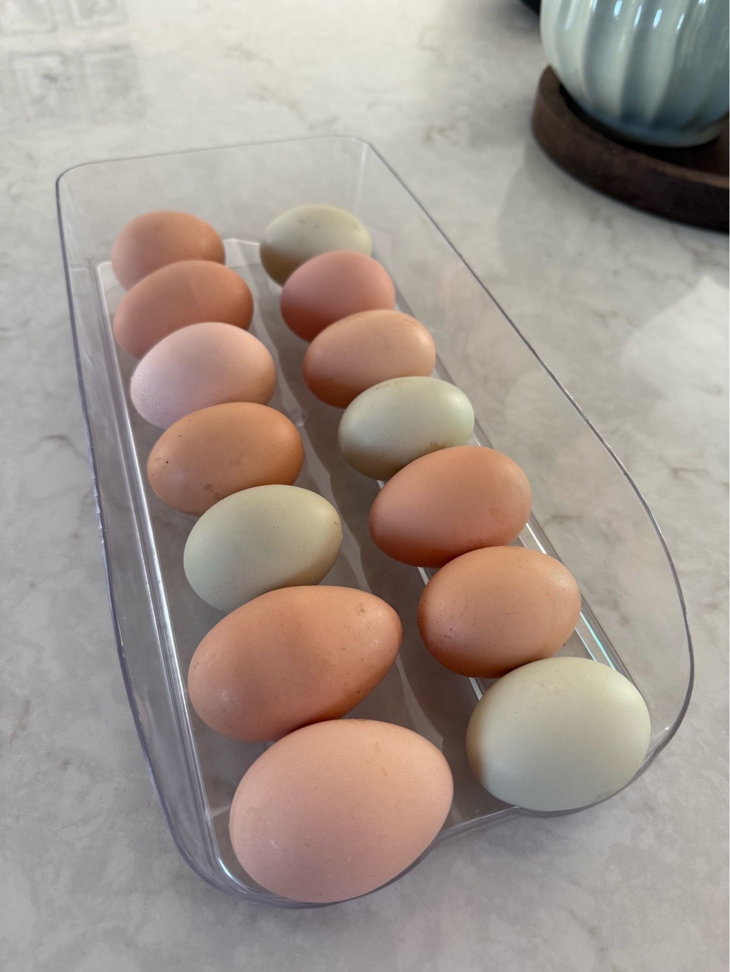 Dozen Backyard Eggs