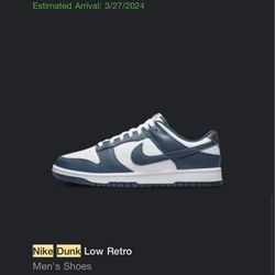 Nike Dunks - Valerian Blue Size  9. With Nike receipt