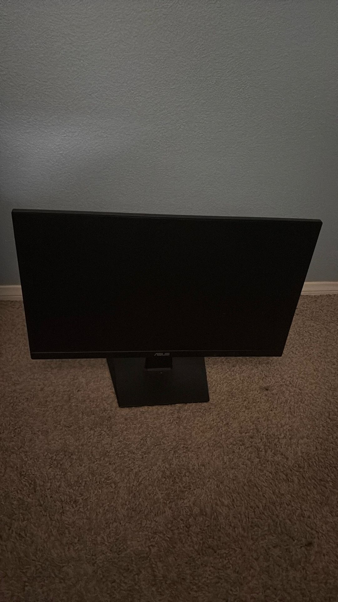 ASUS Monitor 