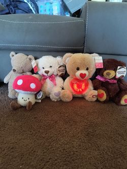 Plush  🧸 bears