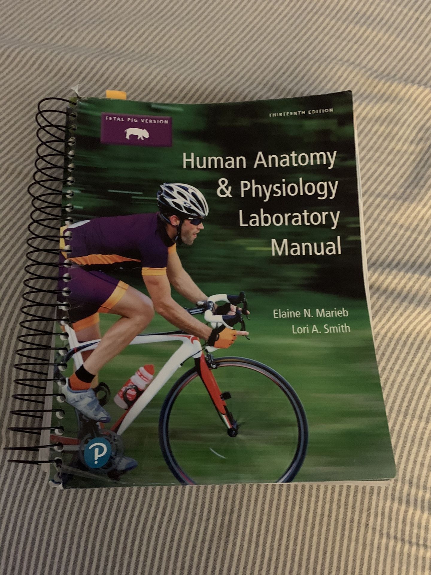 Human A and P Anatomy and Physiology Laboratory College Textbook Manual