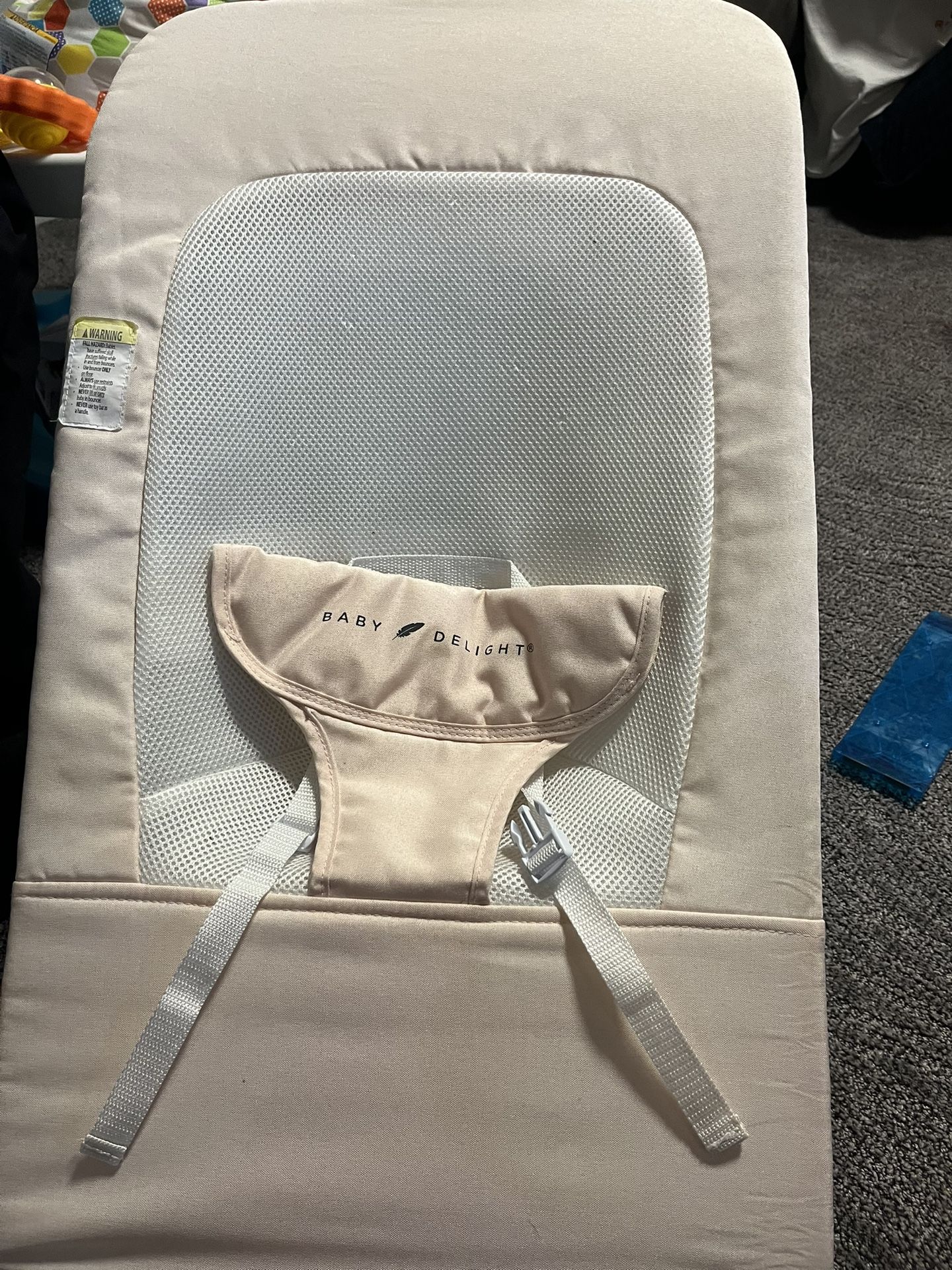 Baby Delight Bouncer Chair