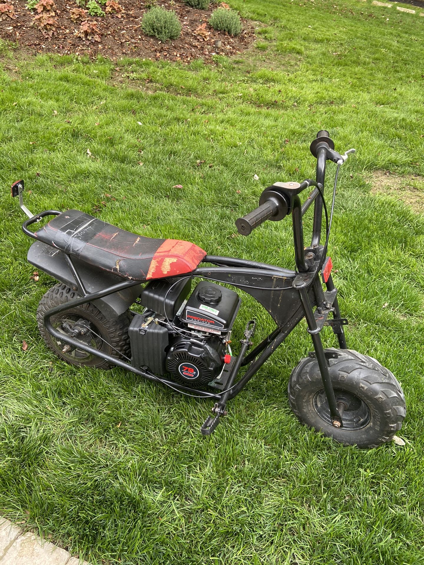 2020 Minibike Motovox
