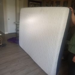 Free Queen mattress