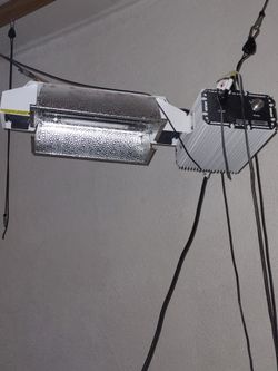 100 Watt Lights