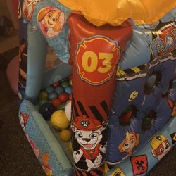 Paw Patrol Ball Pit