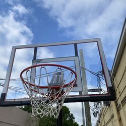 Lifetime basketball hoop