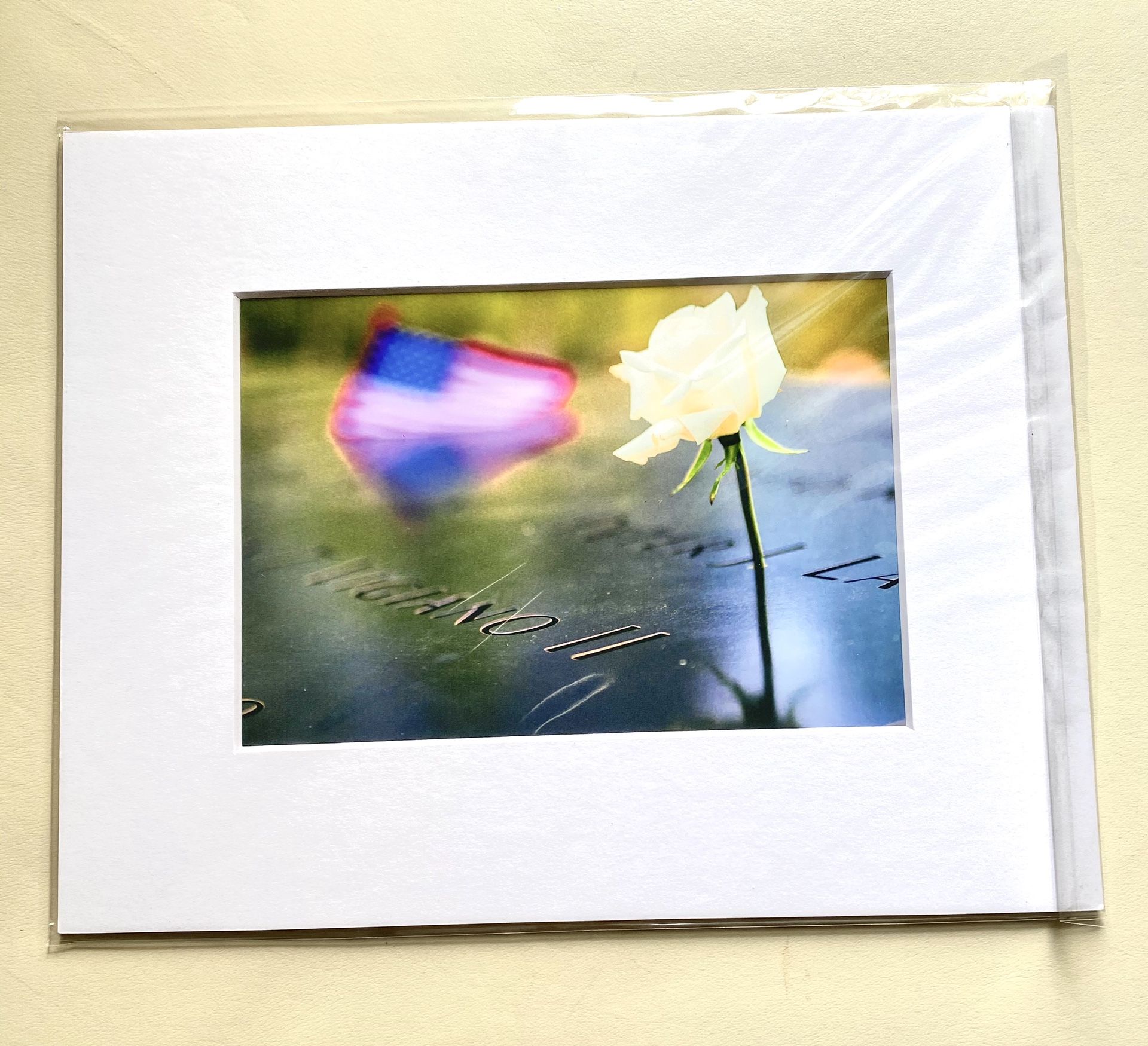 Photograph - white rose