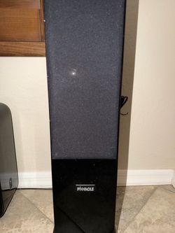 Pinnacle BD-1000 Floor Standing Speakers