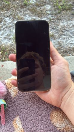 iPhone 13 Pro Max unlocked