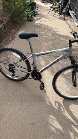 24” Roadmaster Granite Peak