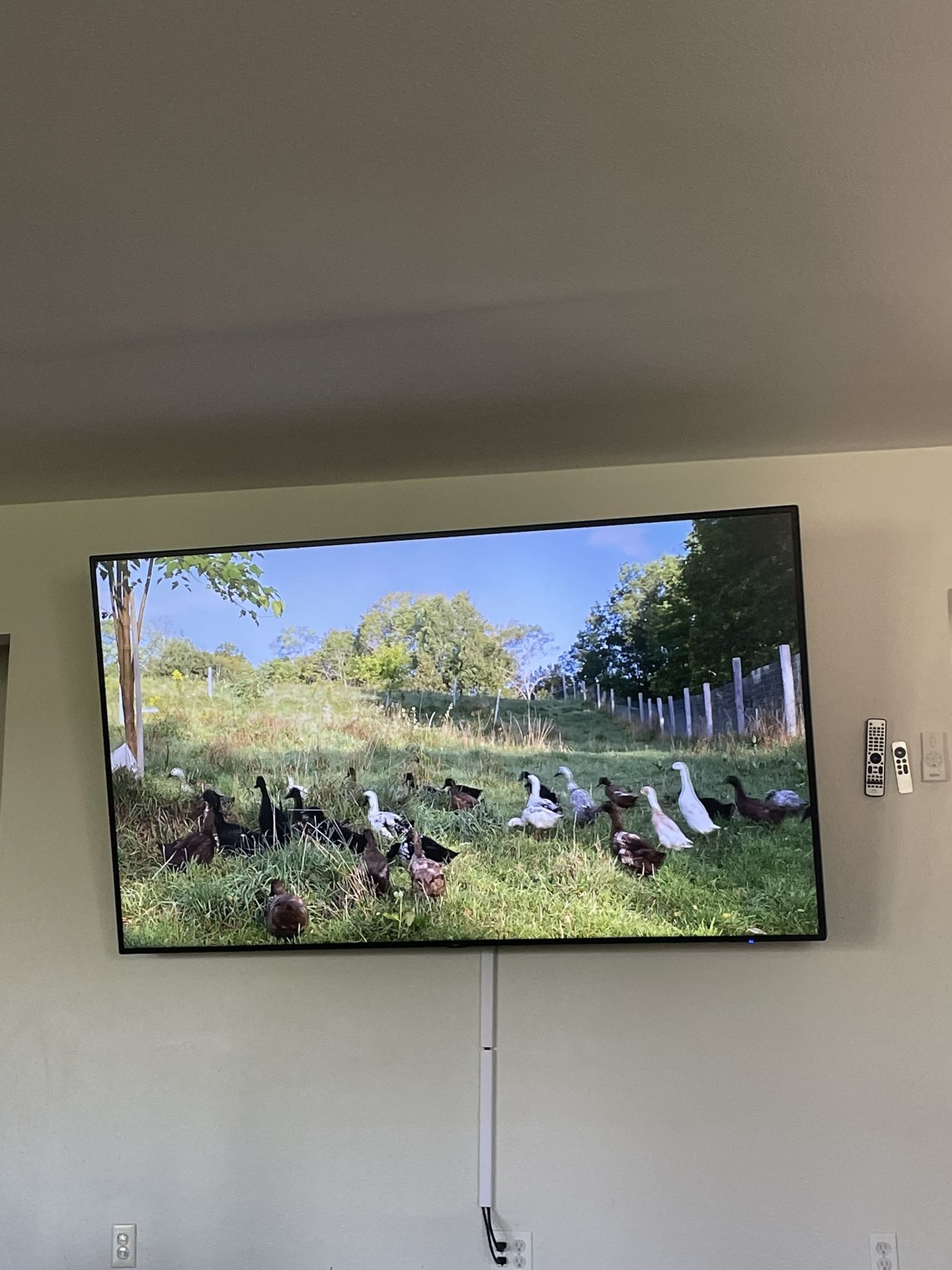 86” TV monitor