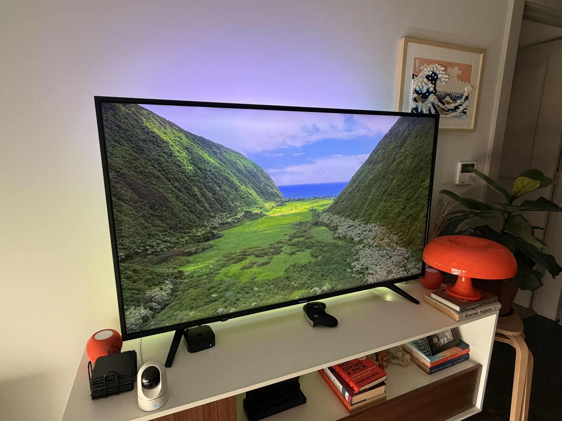 4K 55” Roku TV