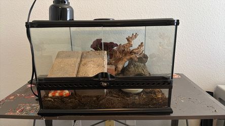 Reptile tank