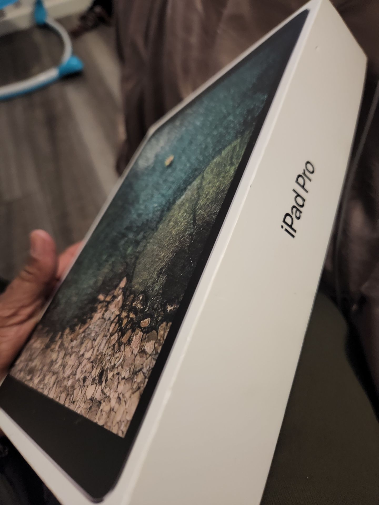 IPad Pro 64gb