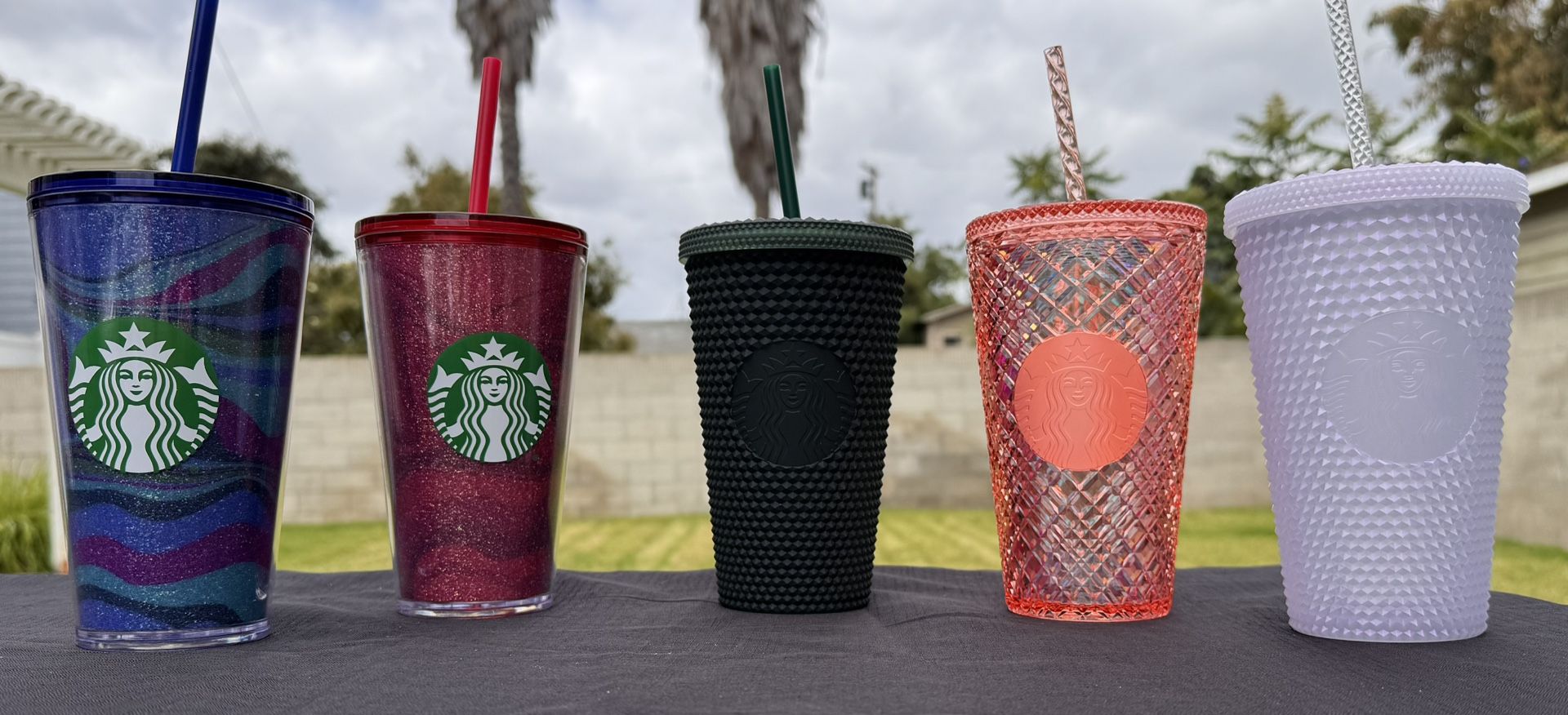 Starbucks Cups
