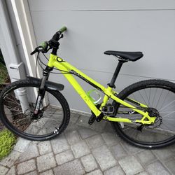 Specialized P series