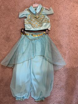 Princess Jasmine Costume