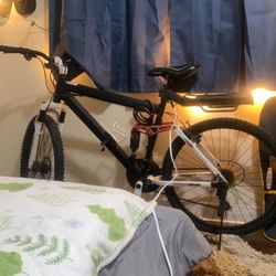 21 Speed Mountain/Street Bike