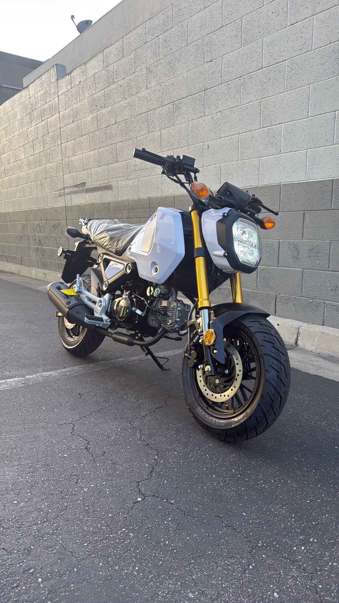 Grom Clone 125CC Brand New 