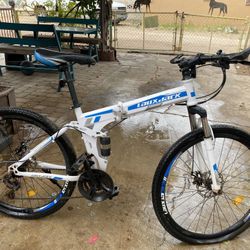 Laux Back Classic Bike