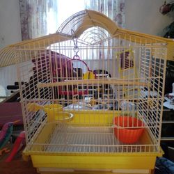 Bird Cage 