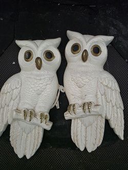 Plaster wall owls