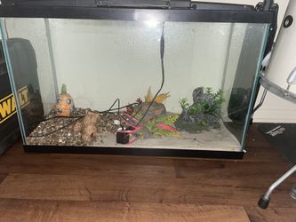 20gal Fish Tank