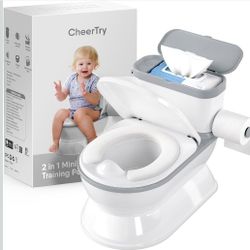 Potty Chair 2 In 1 
