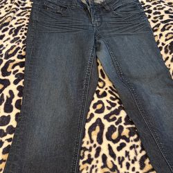 Torrid Denim Jeans Size 12