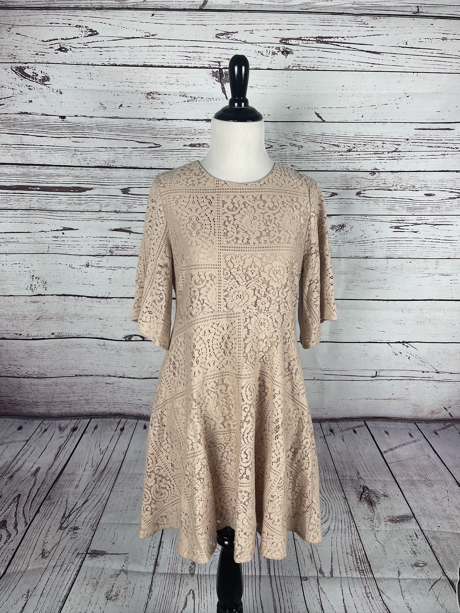 Zara Basic Collection Pink Lace A Line Dress Size Small 3/4 Sleeve Solid