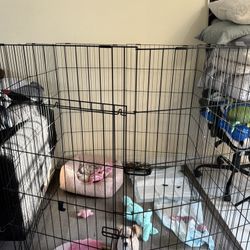 dog gate