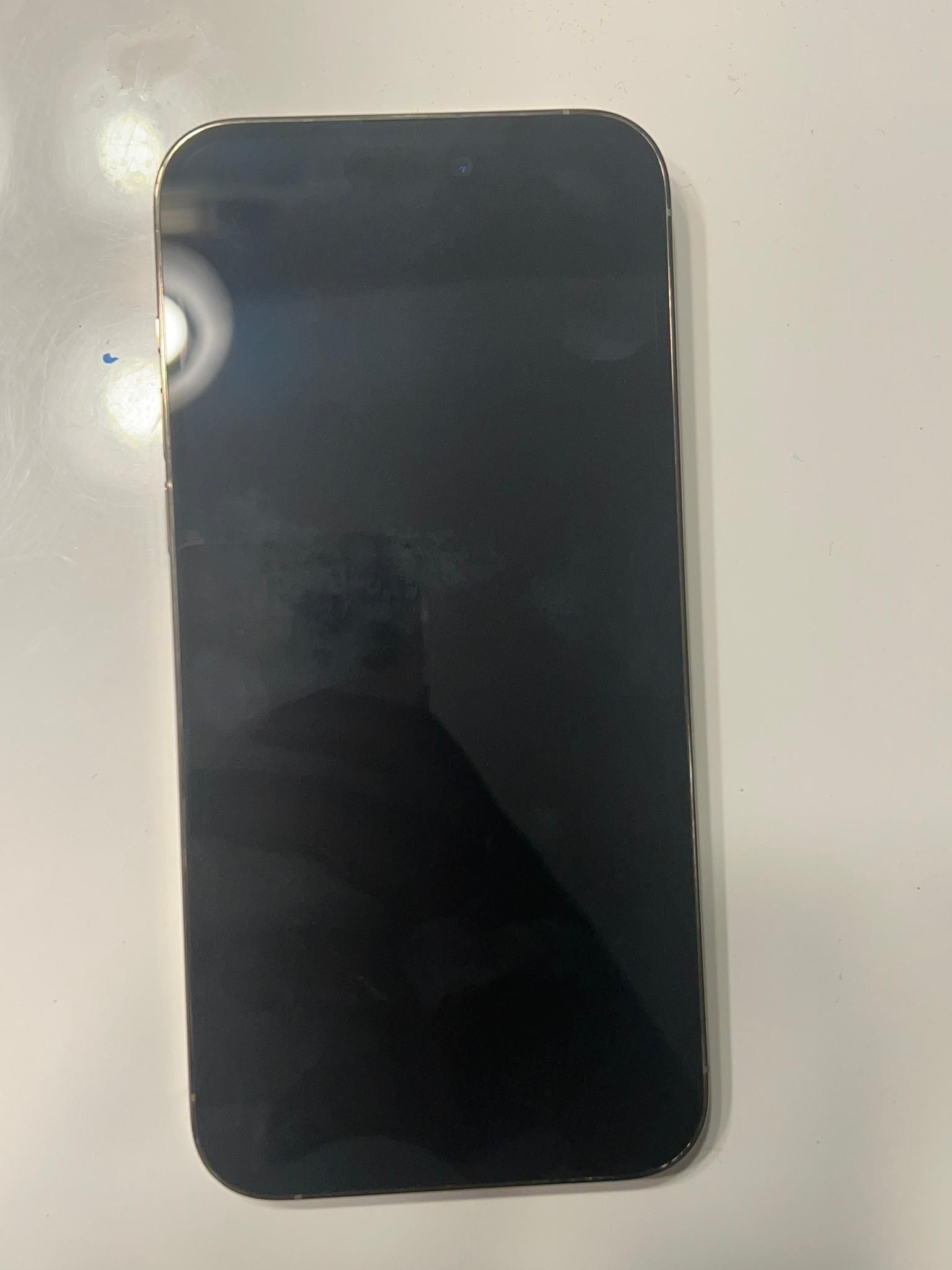 iPhone 14 Pro Max and 12 Pro Max