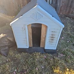 Dog House And Cage 
