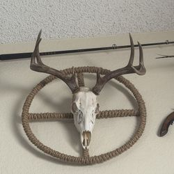 Deer Skull
