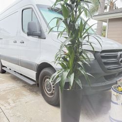 Tall Houseplant Planter - Light weight