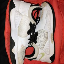 Paul George 5 Platinum Tint And Nike Shoe Box Bag 
