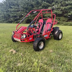 Trailmaster 300Xrs Buggy/Go Kart