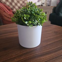 Fake Plant