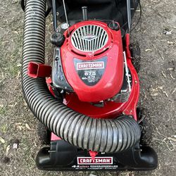 Yard Vacuum