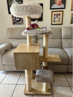 Una casita para  gatos recoger en el monte gatos