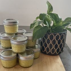 Comfrey Salve For Pain Relief 