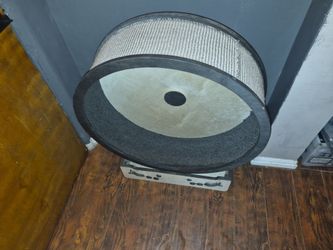 Cat wheel