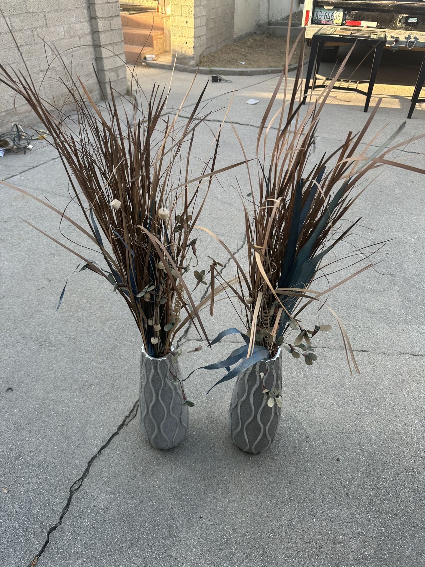 Ornamental Grasses Decoration