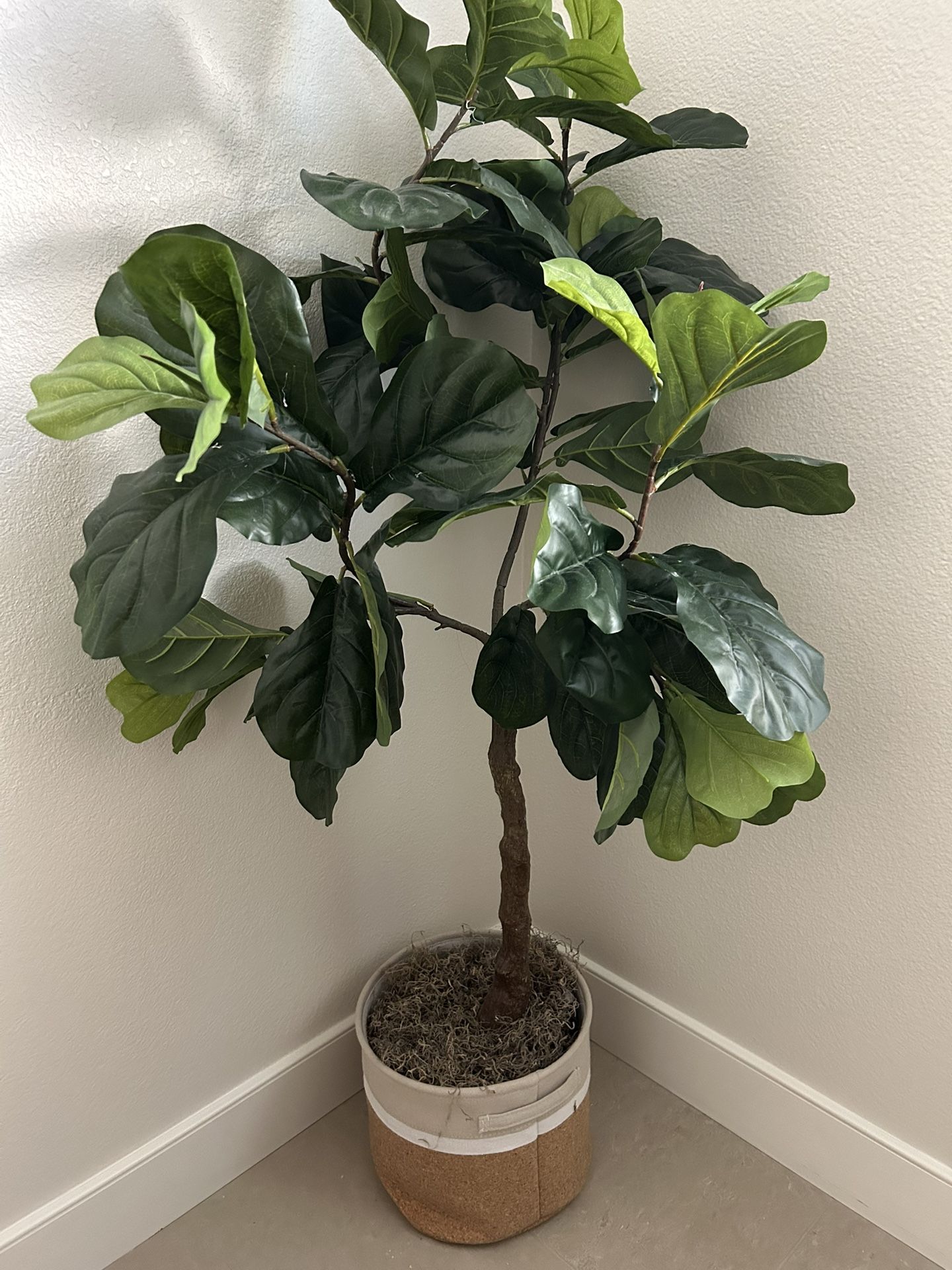 Fake Plant 5 Feet Tall