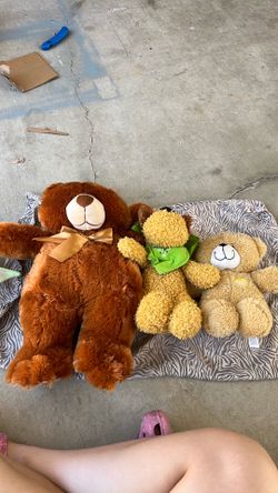 Kid toys bear and dog