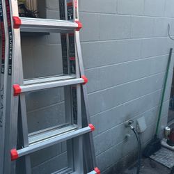 Little giant ladder 20 foot
