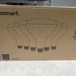 Ecosmart Light Bulbs- LED (daylight)